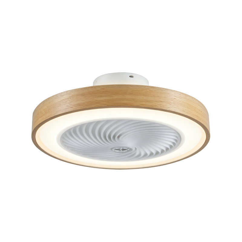 Luce del ventilatore da soffitto per il bagno: valori di umidità, materiali delle pale e guida al montaggio
